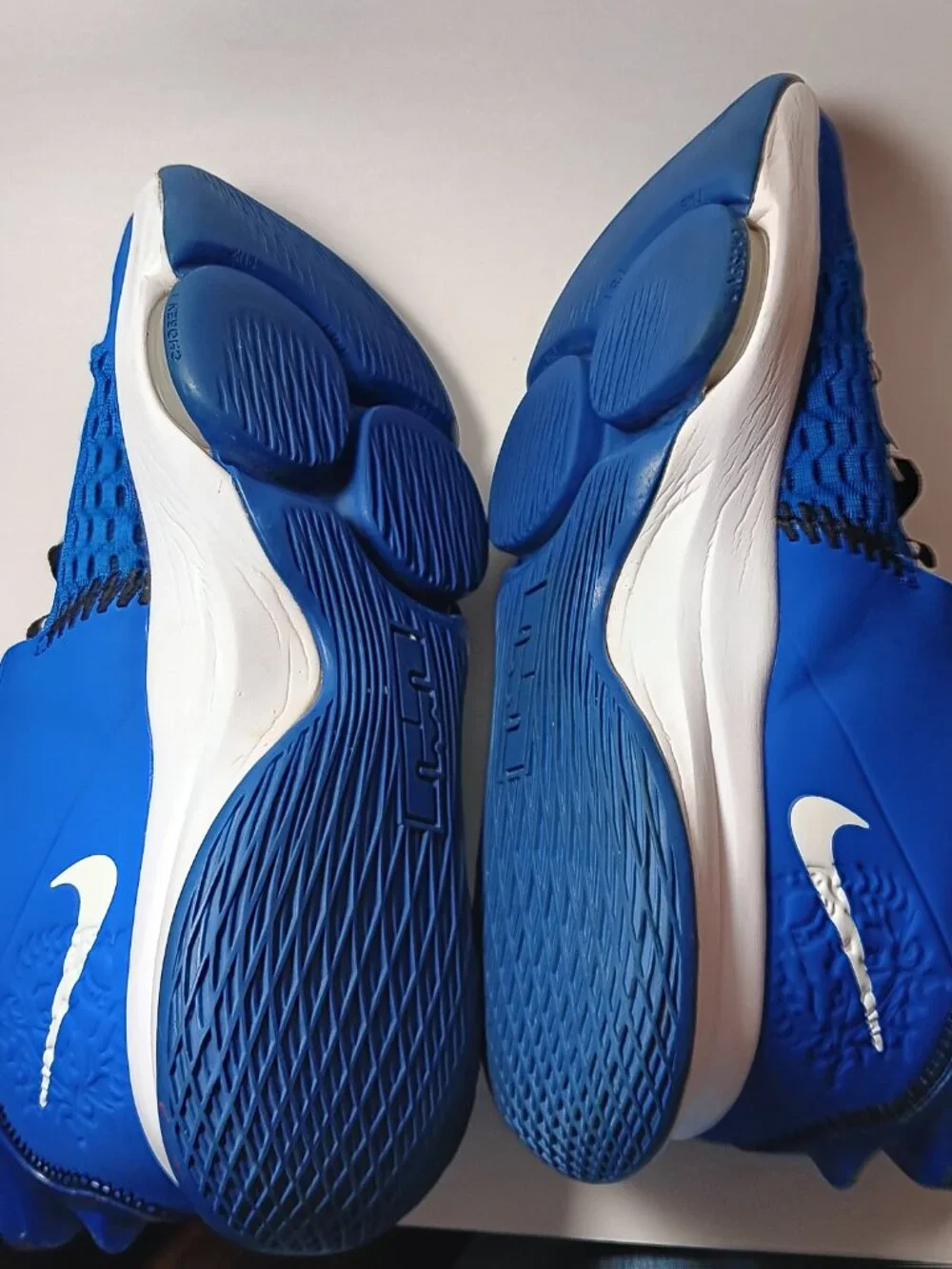 Nike Le Bron  witness 5 game royal blue white basketball shoes CQ9380-400 men